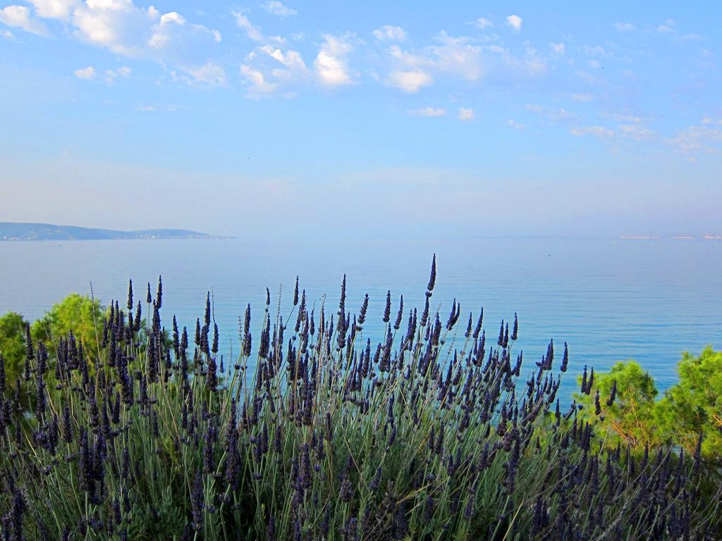 Amarandos Sea View Apartments Vokariá Kültér fotó